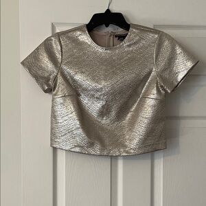 Club Monaco Shimmering Silver Crop Top